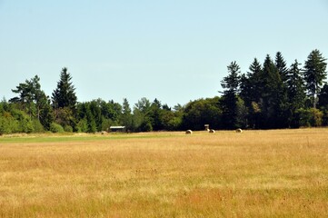 Das schwarze Moor in der Rh&ouml;n