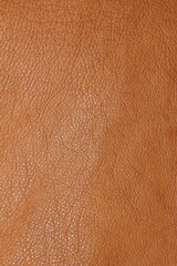 Fototapeta premium the texture of genuine calfskin of the highest quality of dressing