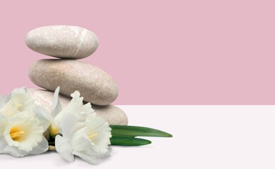 Background for cosmetic products of natural color. Stone podium with white flowers.