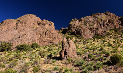 Fototapeta premium hiking the scenic soledad canyon trail on a sunny winter day in the organ peaks-desert peaks national monument near las cruces in southern new mexico