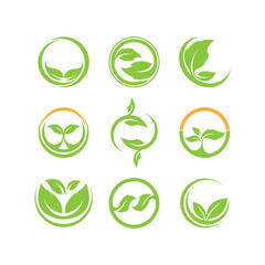 Green leaves logo.green leaf icons set vector template