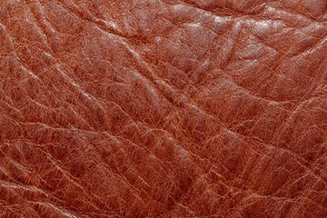 Fototapeta na wymiar texture of old calfskin