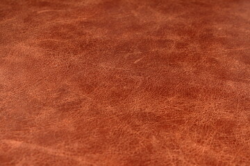calfskin texture