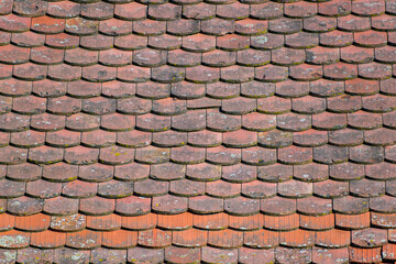 Old roof with classic ceramic beaver roofing