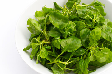 Watercress in bowl on white background