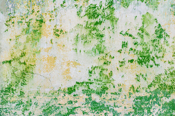 Abstract texture with green, beige and white spots.