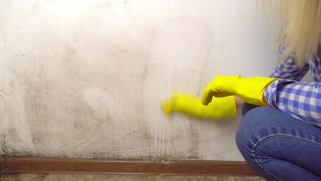 Caucasian blonde, washes white wall in apartment with foam, sponges in yellow gloves. She cleans wall of black mold. damp room. woman in jeans and plaid shirt. concept of cleaning apartment. Cleaning
