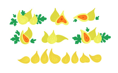 Green figs with leaves. Fresh and dried figs. Vector flat illustrations set isolated on white.