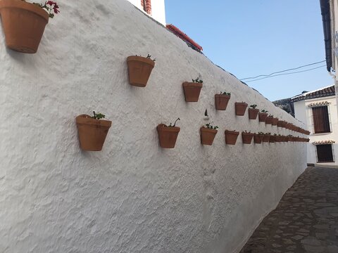 Pared adornada con maceteros