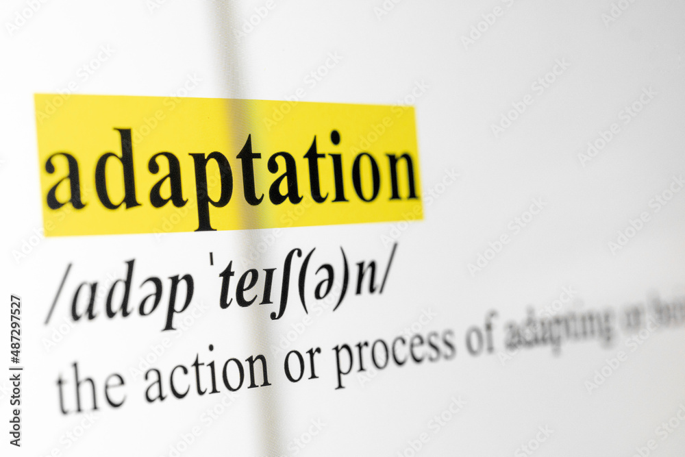 Fototapete Adaptation Text Macro Shot Highlighted in Yellow Color On Computer Screen