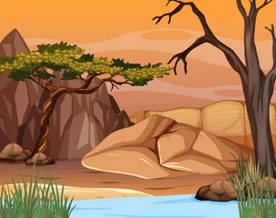 Savanna forest landscape at sunset time © blueringmedia