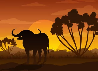 Buffalo silhouette at savanna forest © blueringmedia