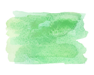 Watercolor green stain with texture on white background. Design element for cards, banners, flyers and web elements. Vector