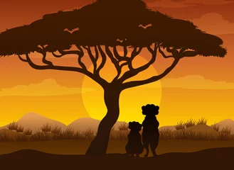 Meerkats silhouette at savanna forest © blueringmedia