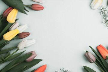 Banner with bouquet of tulips in pink and white colors. Concept of spring, Women's Day, Mother's Day, 8 March, the holiday greetings