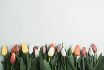 Banner with bouquet of tulips in pink and white colors. Concept of spring, Women's Day, Mother's Day, 8 March, the holiday greetings