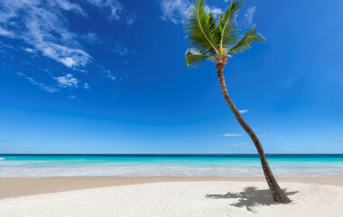 Coconut palm tree and blue sky on Sunny tropical Caribbean white sand beach. Summer vacation and...