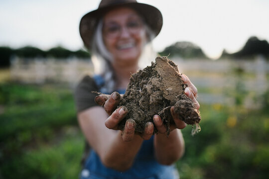 Close Up Of Female Famer Hands Holding Soil Outdoors At Community Farm.