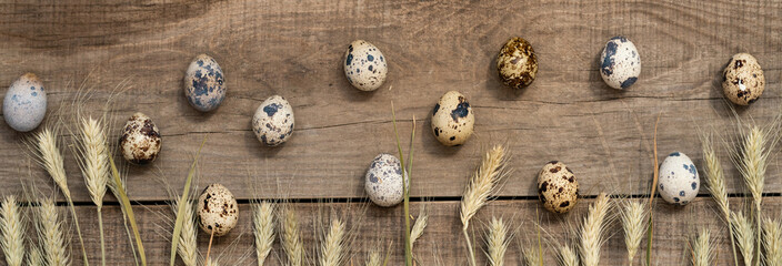 quail eggs and ears of rye or wheat on a wooden background