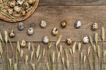 quail eggs and ears of rye or wheat on a wooden background