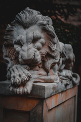 dark close up shot of lion statue in Cyprus