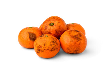 Damaged tangerine isolated on white background. Spoiled mandarine.