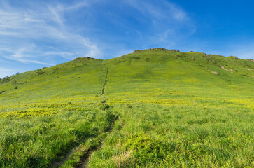 Fototapeta na wymiar Green Bieszczady, View from Bukowe Berdo sunny day, Spring in the mountains