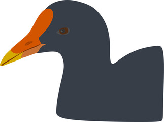A cartoon illustration of a close up of an Australian Swamp Hen (Porphyrio) in a wildlife reserve