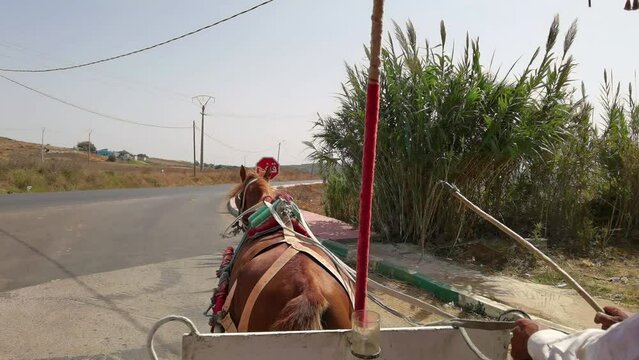Horse pushing the caleche in Assilah