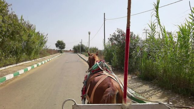 Horse pushing the caleche in Assilah
