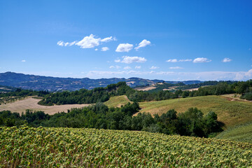 Fototapeta na wymiar Italian landscape with mountains and trees
