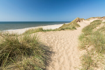 Fototapeta na wymiar Hiking trail in the dunes near the ocean on the island of Sylt in Northern Germany