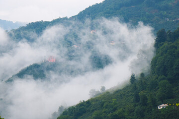 Village and nature scenery in the fog