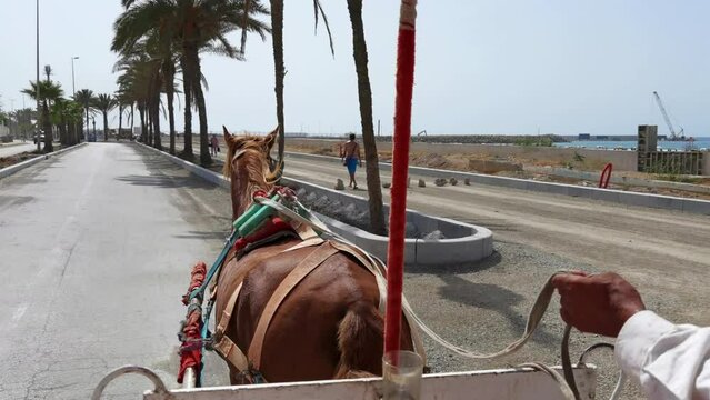 Horse pushing the caleche in Assilah
