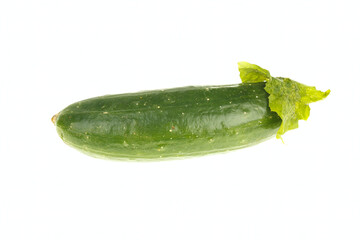 Cucumber with leaf