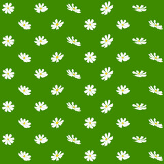 Seamless pattern with cosmos flower vector simple illustration isolated on green background. Outline hand drawn colored version. Floral vector for childrens fabric, summer design.