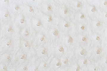 White genuine ostrich leather, texture, background