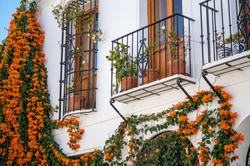 Fototapeta na wymiar Façade of Andalusian houses. White wall painted with flowers in balcony. Typically Andalusian architecture. Plant hanging on walls, with orange trumpet flowers. 