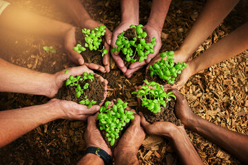 Working together for a green cause. Cropped shot of a group of people holding plants growing out of soil.
