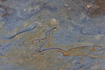 puddle gasoline background, wet oil multicolored rainbow pollution spill