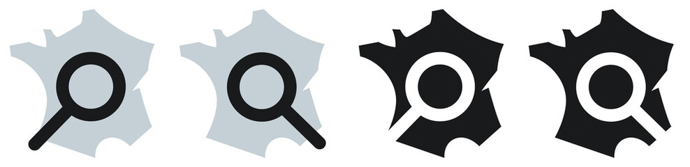 ICÔNE FRANCE AVEC LOUPE EN GRIS ET NOIR