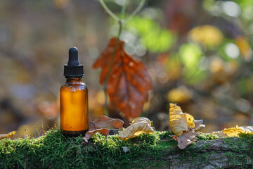 Brown cosmetic bottles against background of autumn forest, nature. Basis of inspiration in...