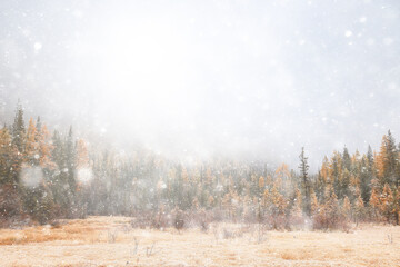 winter background snowfall trees abstract blurred white