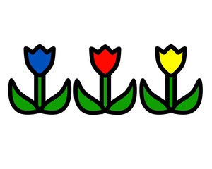 チューリップ　花　三色