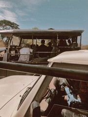 safari in Sri Lanka