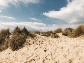 Camber Sands Dunrd