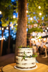 night wedding ceremony, the arch is decorated with flowers, candles and garlands of light bulbs and there is a wedding cake on the table