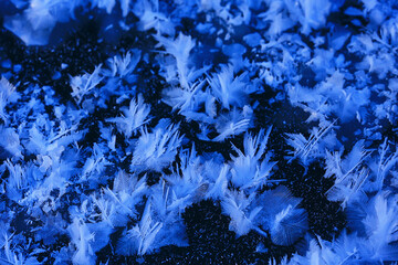 abstract winter background hoarfrost frost ice snow seasonal