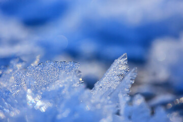 abstract winter background hoarfrost frost ice snow seasonal
