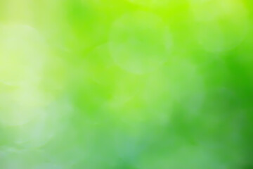 Obraz premium abstract green summer bokeh background, gradient view art texture glow